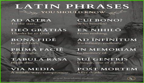 A Profile Of A Latin Beauty